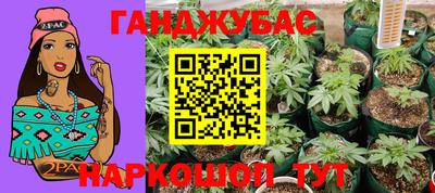 сатива Краснознаменск
