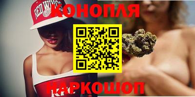 сатива Краснознаменск