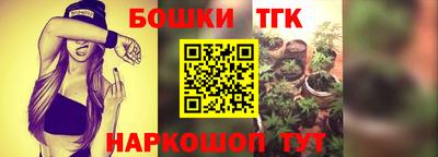 сатива Краснознаменск