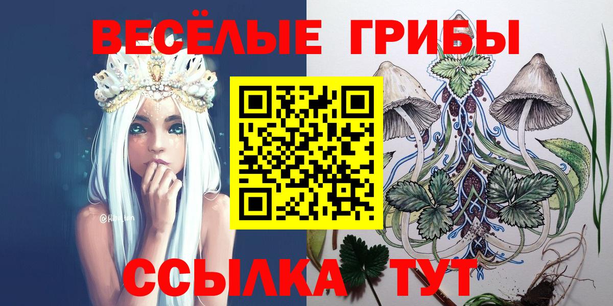 Галлюциногенные грибы мицелий  Вход с VPN  Каменка  Галлюциногенные грибы Magic Shrooms 