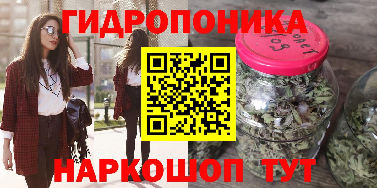 Бошки Шишки конопля  Вход с VPN  Конопля сатива  Канабис семена  Каменка 